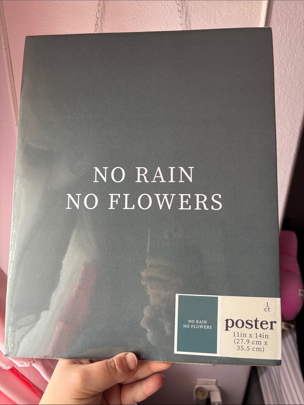 No Rain No Flowers Gray Poster